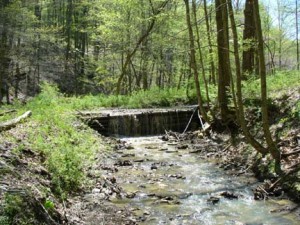 find gold in creeks rivers streams