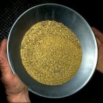 Gold Prospecting