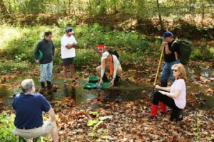 gold panning