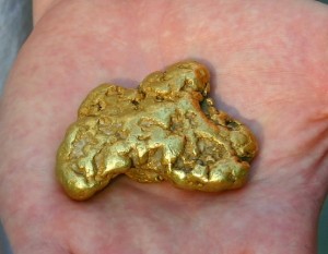 california gold nugget