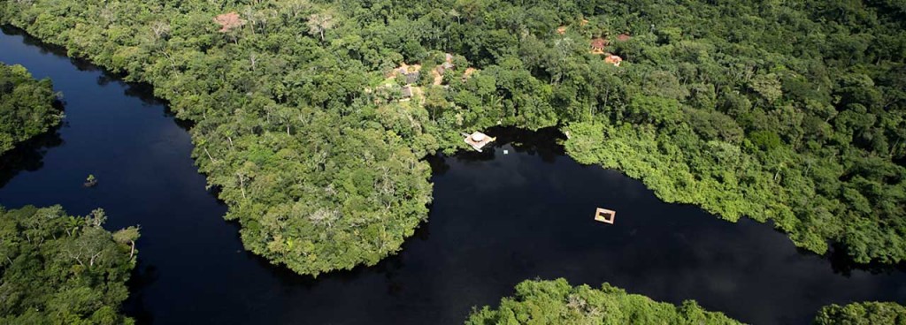 jungle gold prospecting