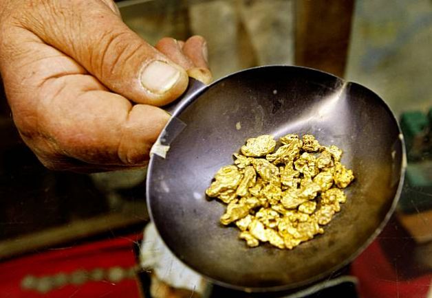 gold prospector